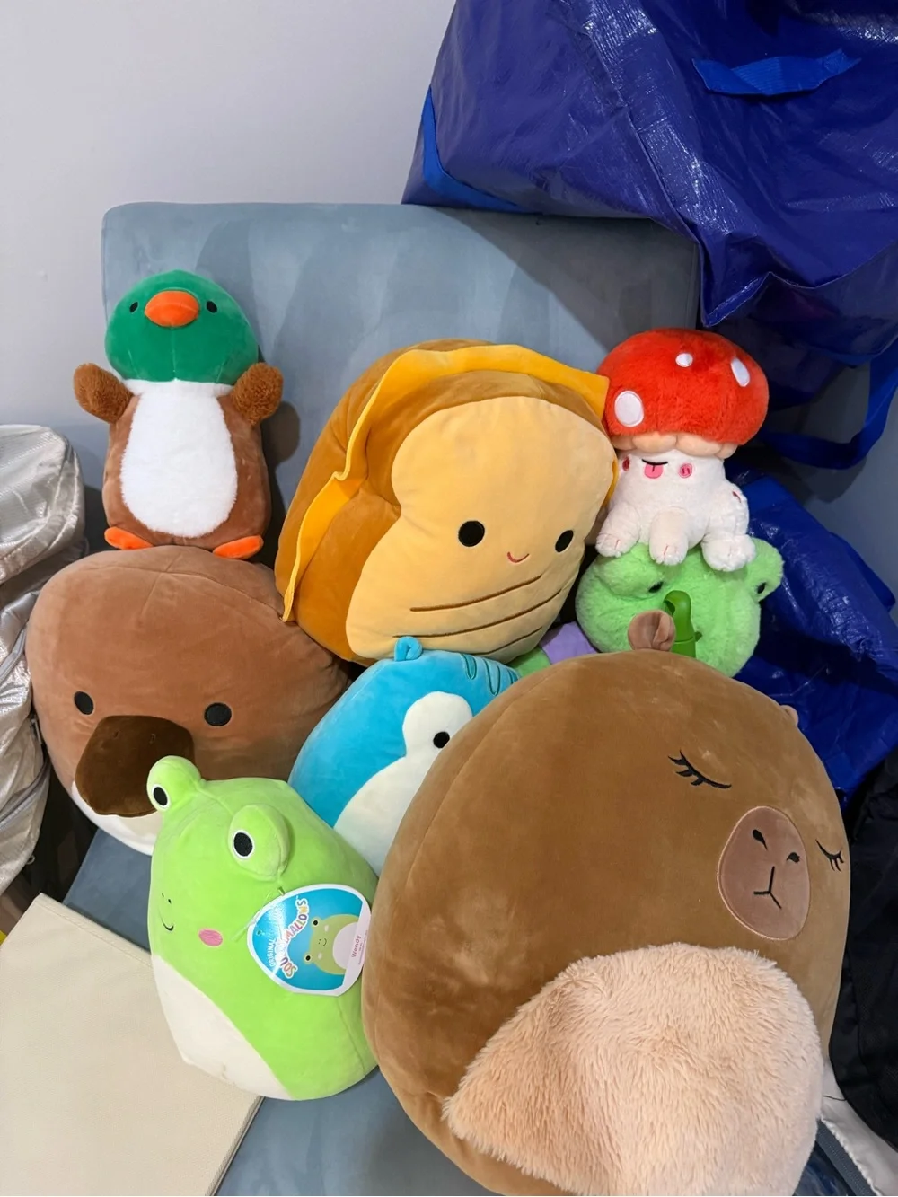Squishmallows Plush Collection